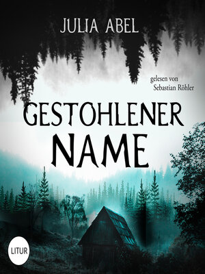 cover image of Gestohlener Name